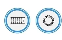 IL6 3UTR Lenti-reporter-Luciferase Vecto