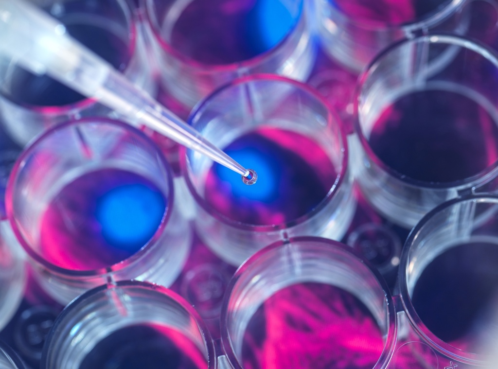 RedSafeTM Nucleic Acid Staining Solution