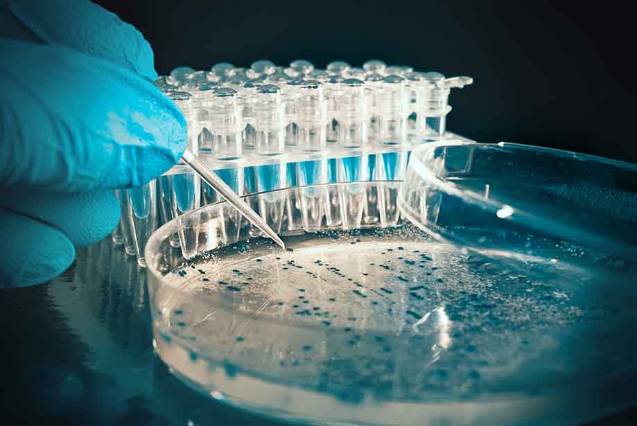 Human Heart Auricle Tissue Total RNA