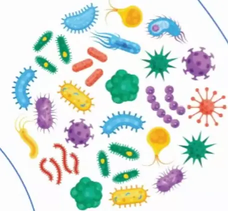 [171-PV093630] MDM2 Protein Vector Human